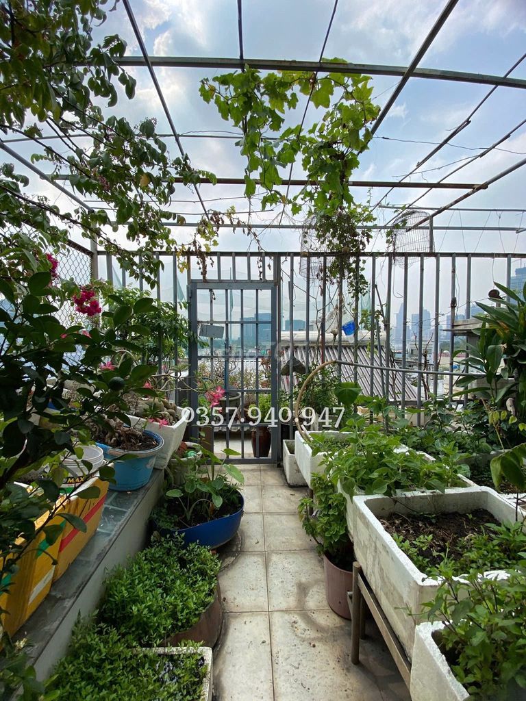 Find a woman at the transplant, 30 meters, Nguyễn Hữu Cảnh, Bình Thạnh