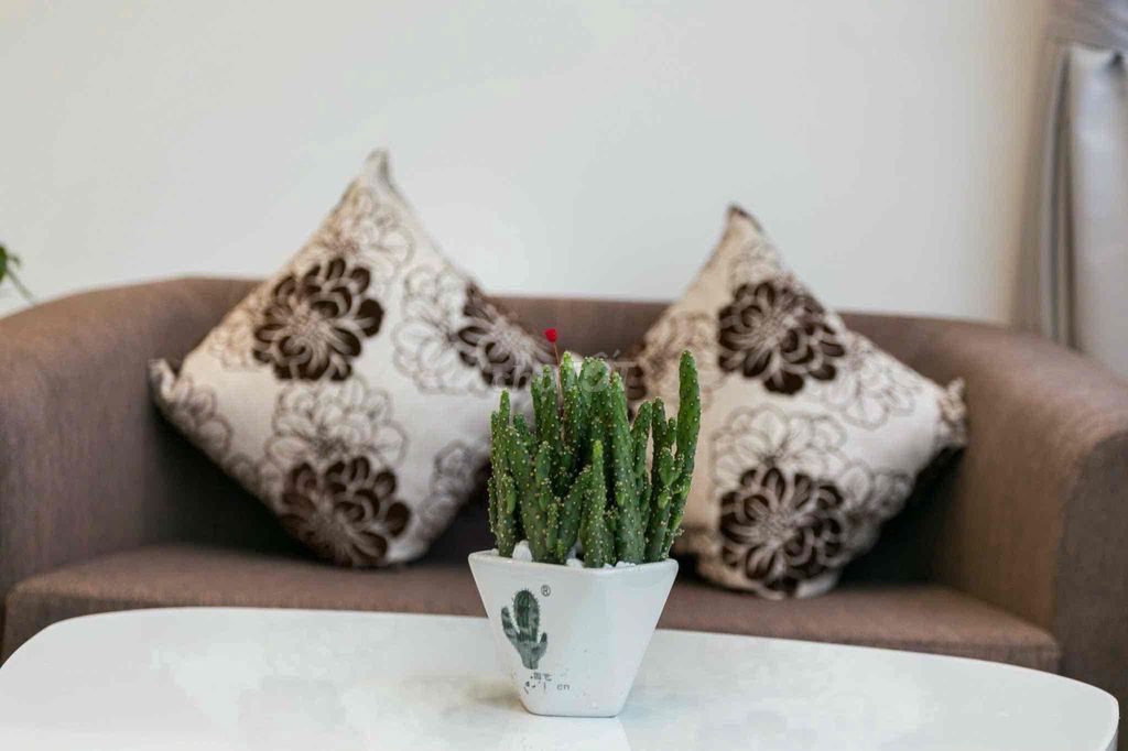 Let's rent a checkout of the Royal Sa Full Home