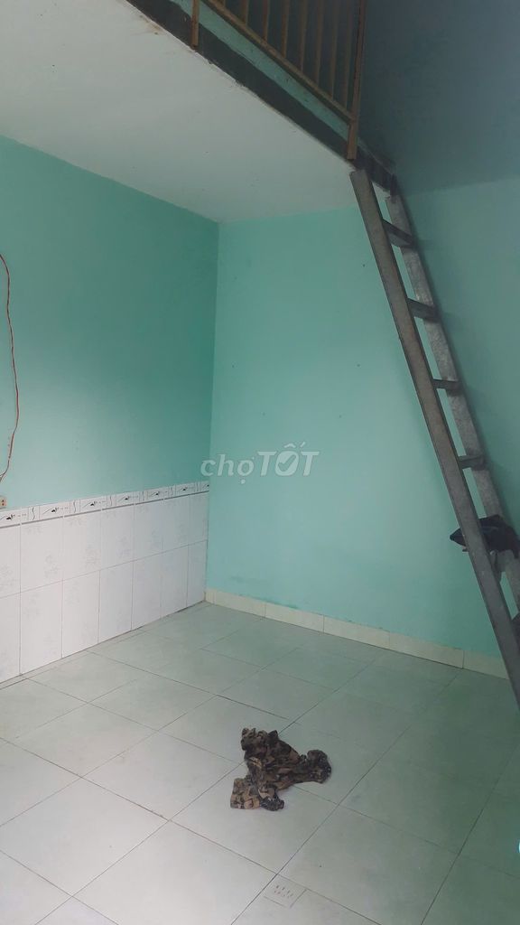 Cool, clean motel room, downtown 12 (10).