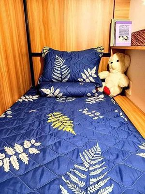Rent mini- sleepbox senior room