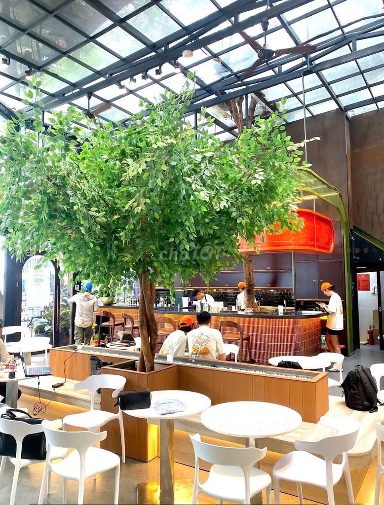I'll rent an area: 12 X20 M Điện Biên Phủ, District 15, Bình Thạnh.
