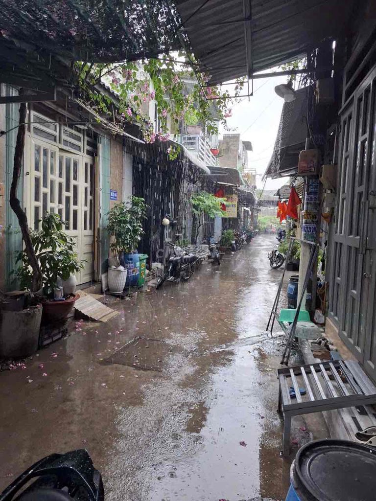Cheap rent house, area 4*14 floating area, Liên khu 5-6, Bình Hưng Hoà B, btan