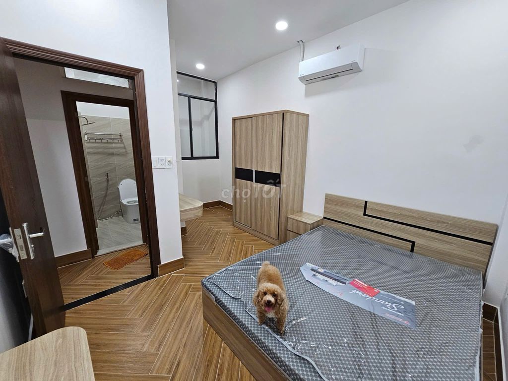 Rent the entire apartment 1 MM+3 floors - 10th District