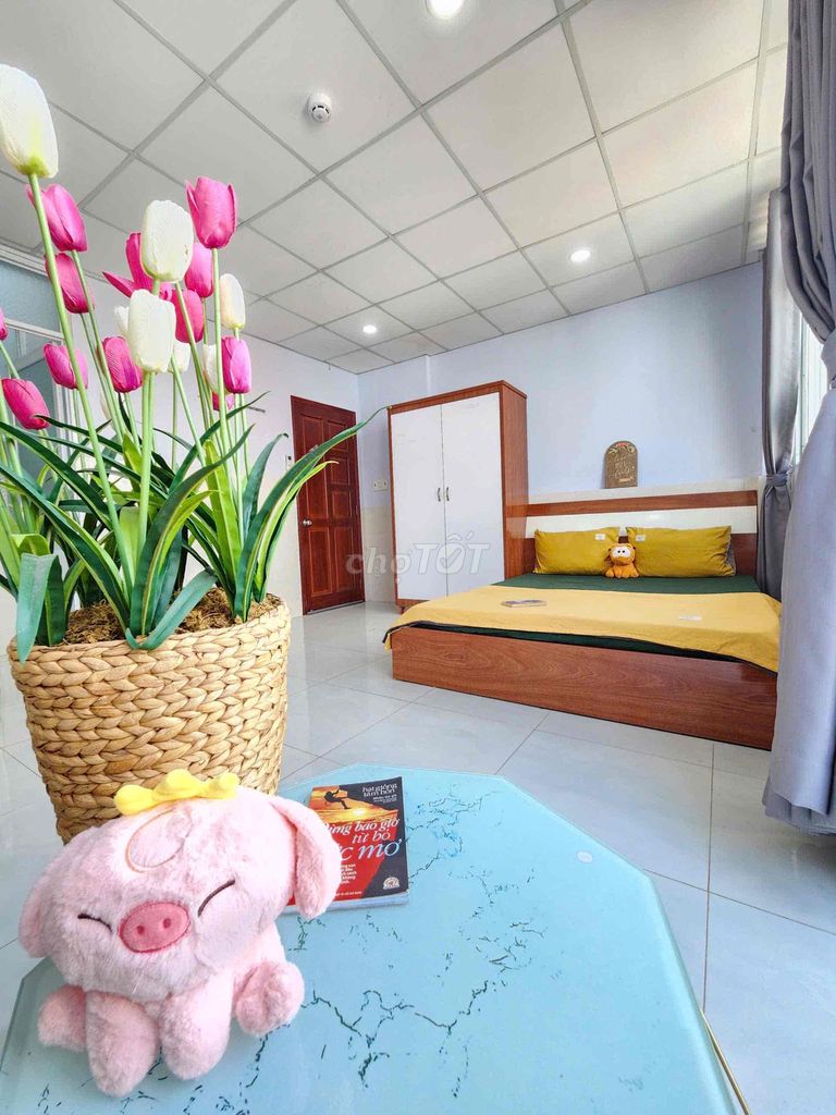 Rent hotel 37 rooms - full volume and structure: *