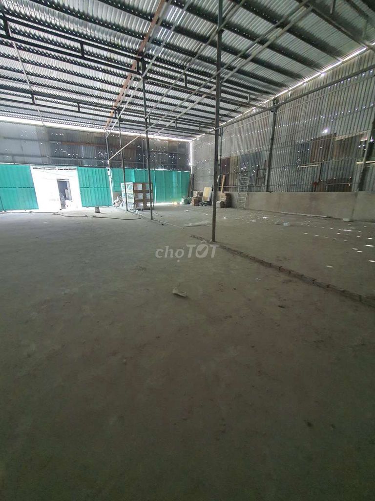 Caryard 7 x 20 14 x 20 meters there are 3 plants
