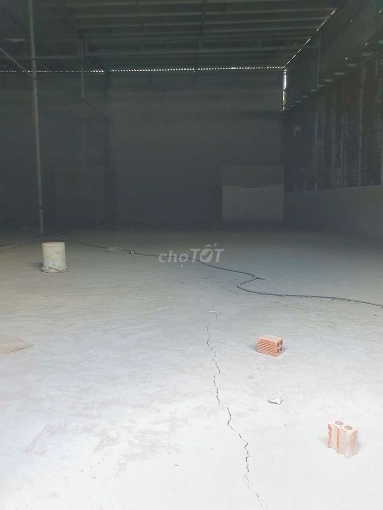 Caryard 7 x 20 14 x 20 meters there are 3 plants