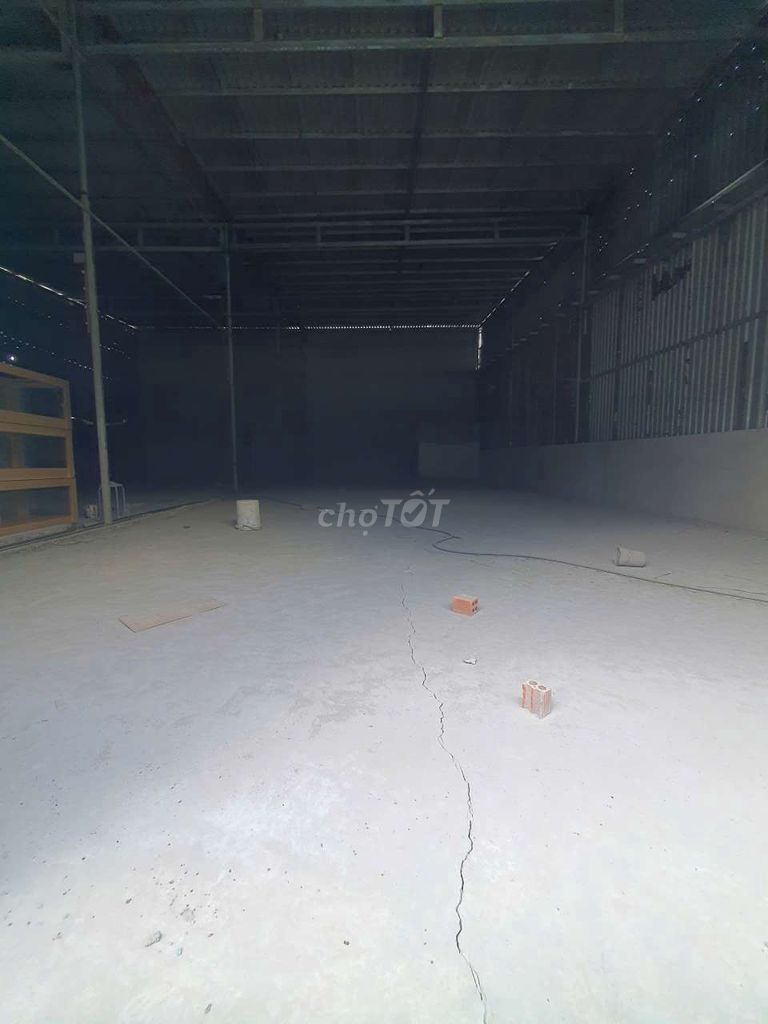 Caryard 7 x 20 14 x 20 meters there are 3 plants