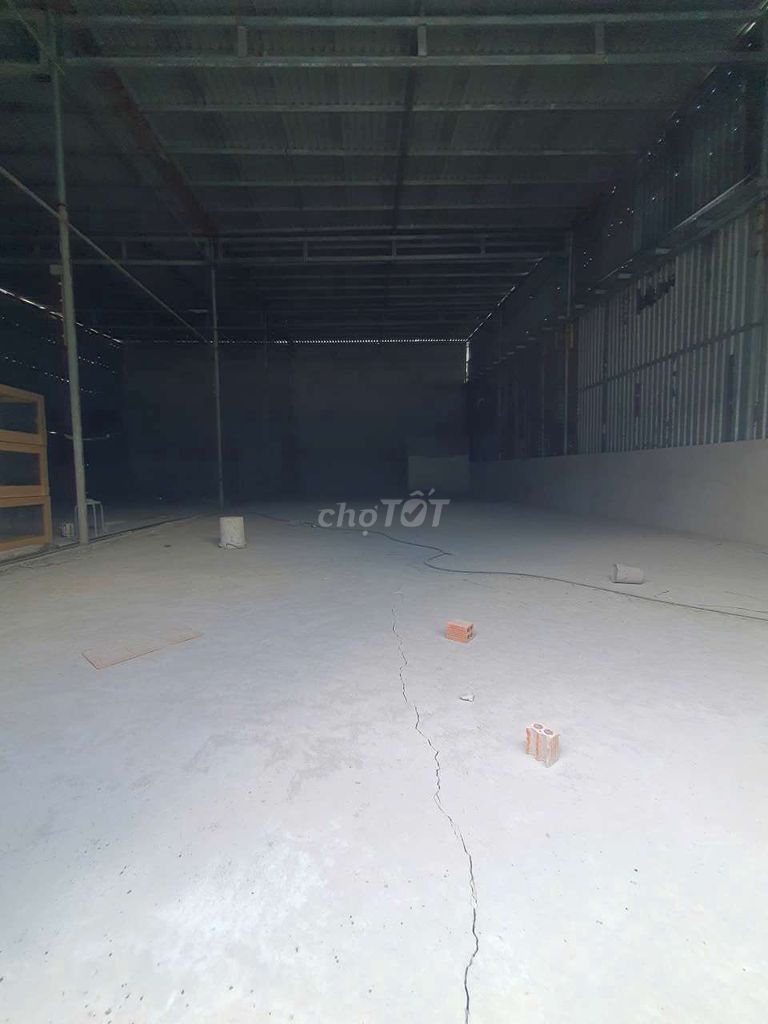 Caryard 7 x 20 14 x 20 meters there are 3 plants