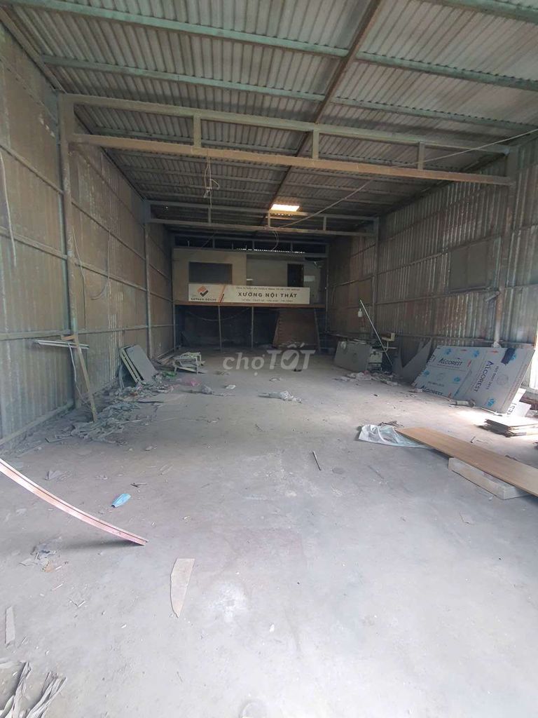 Caryard 7 x 20 14 x 20 meters there are 3 plants