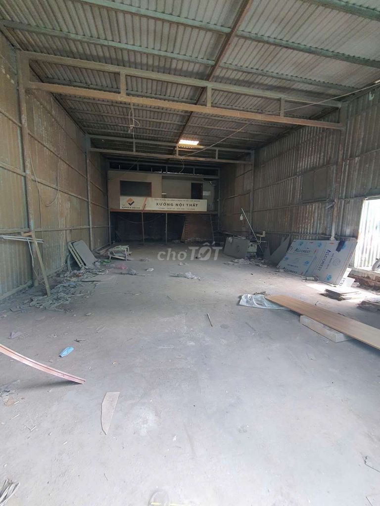 Caryard 7 x 20 14 x 20 meters there are 3 plants