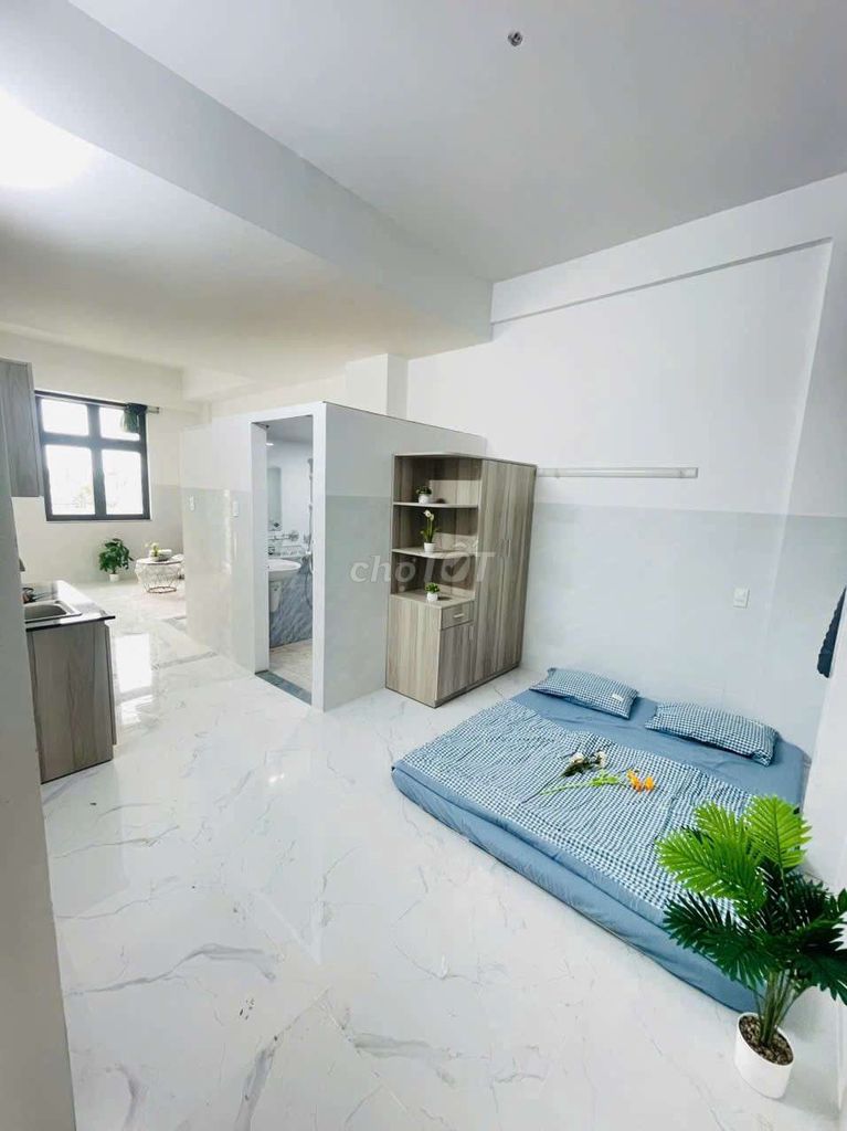 German Studio Bandol Full interior, Linh Đông Thue