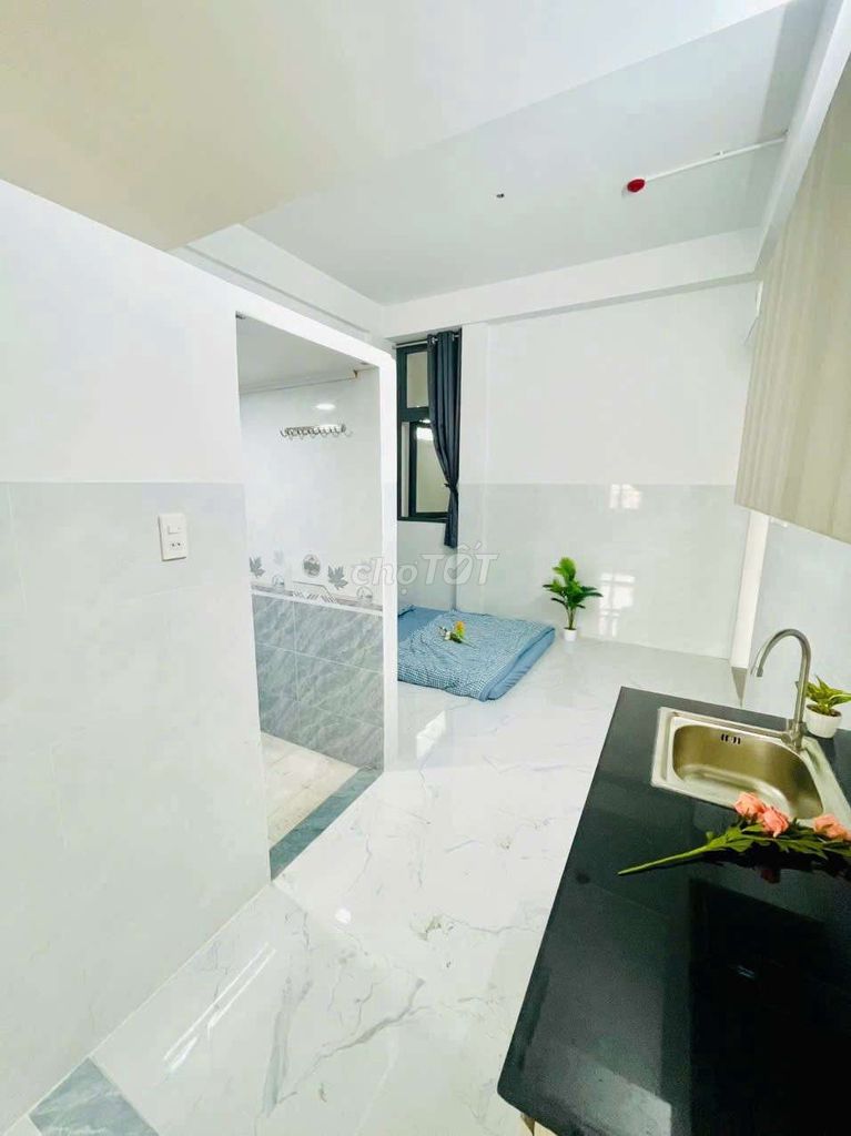 German Studio Bandol Full interior, Linh Đông Thue