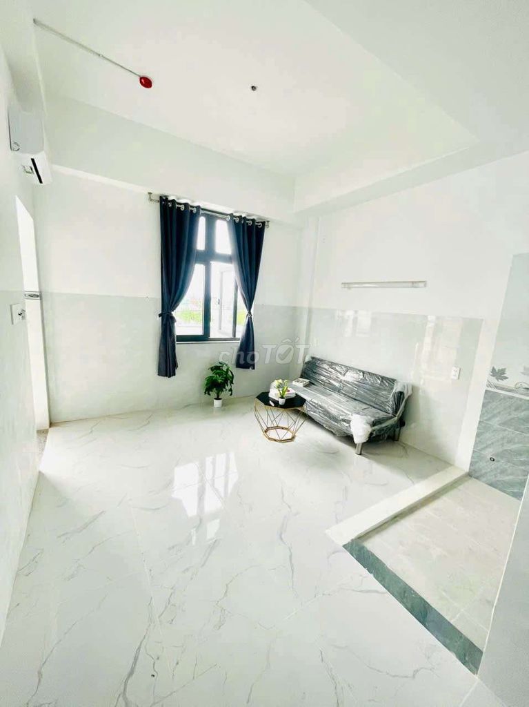 German Studio Bandol Full interior, Linh Đông Thue