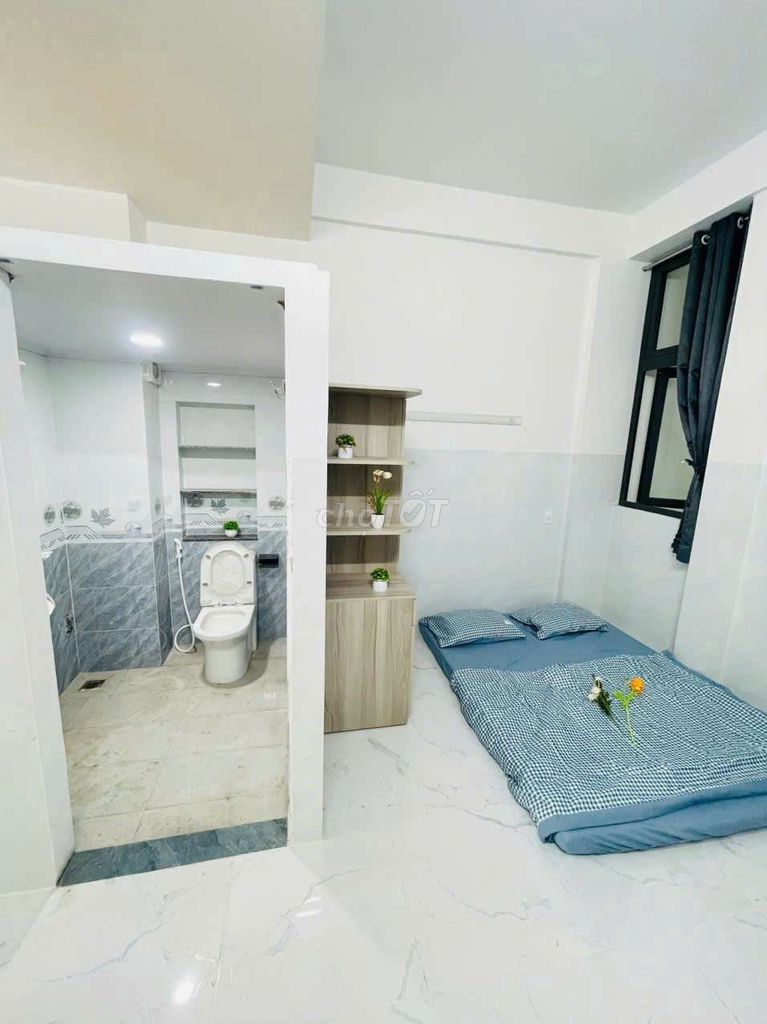 German Studio Bandol Full interior, Linh Đông Thue