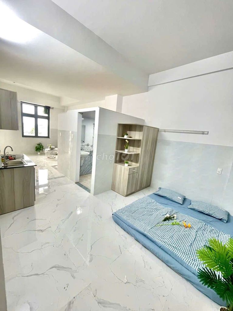 German Studio Bandol Full interior, Linh Đông Thue