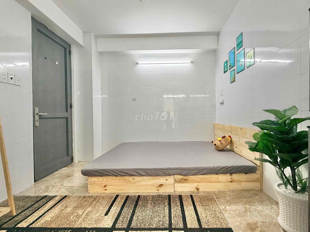stu mini full elevator contents come in
