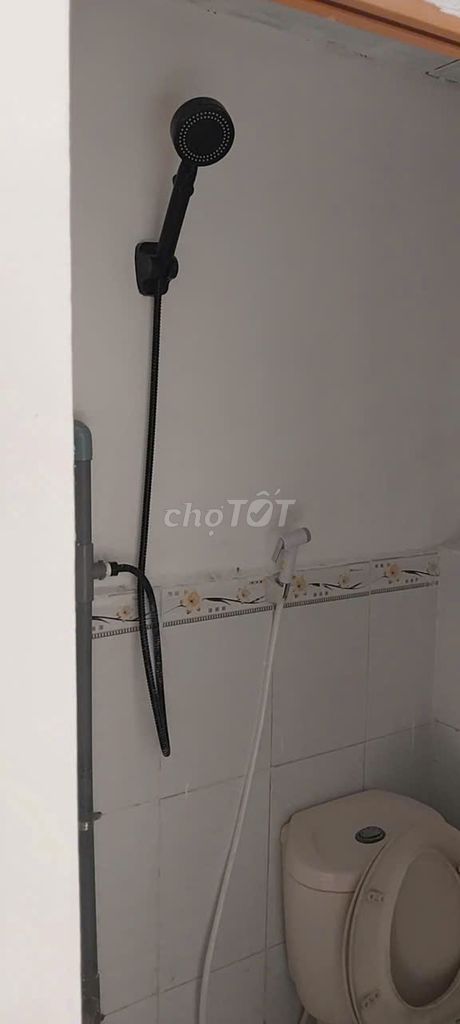 Renting a small six-year-old house, car lanes, Bà Hom,