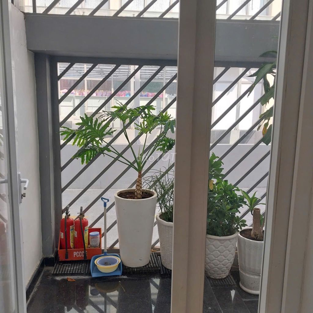 Let's rent out the ground floor, Jamona Height, Bùi Văn Ba District 7