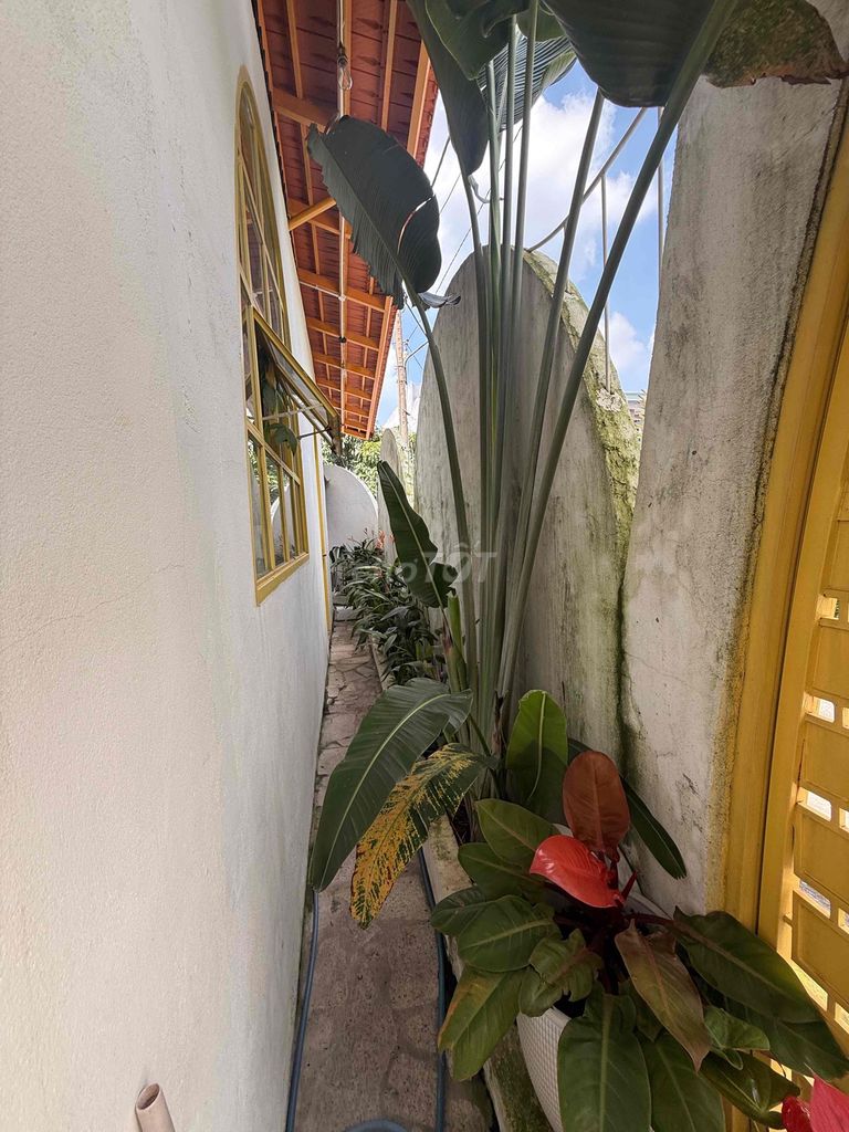 The Nguyễn Bình Nhà Bè garden house has interior