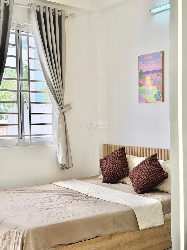 It's the owner of the Nguyễn Thái Sơn balcony studio.
