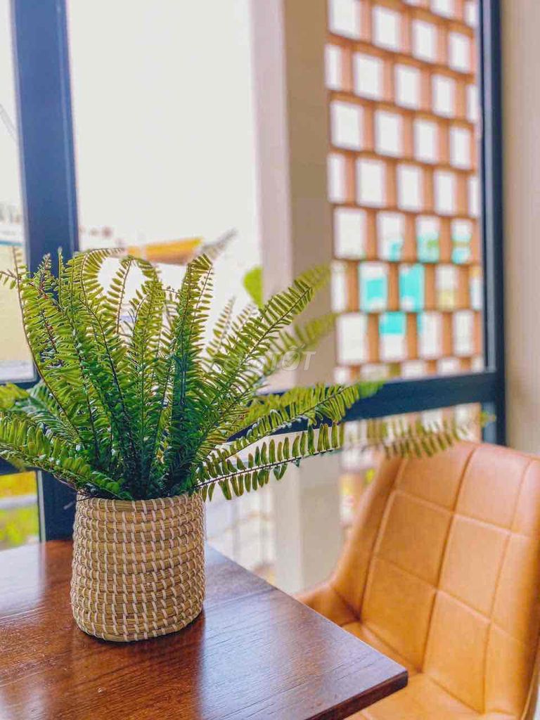 Rent the mini studio window house right here at District 1.
