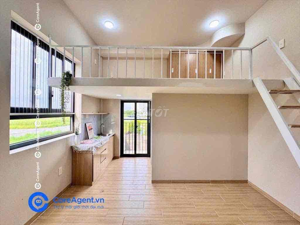Rent a balcony, close to five dog cages.