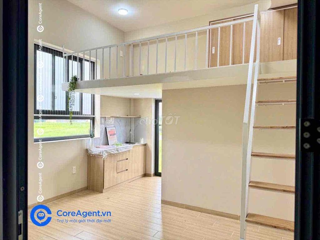 Rent a balcony, close to five dog cages.