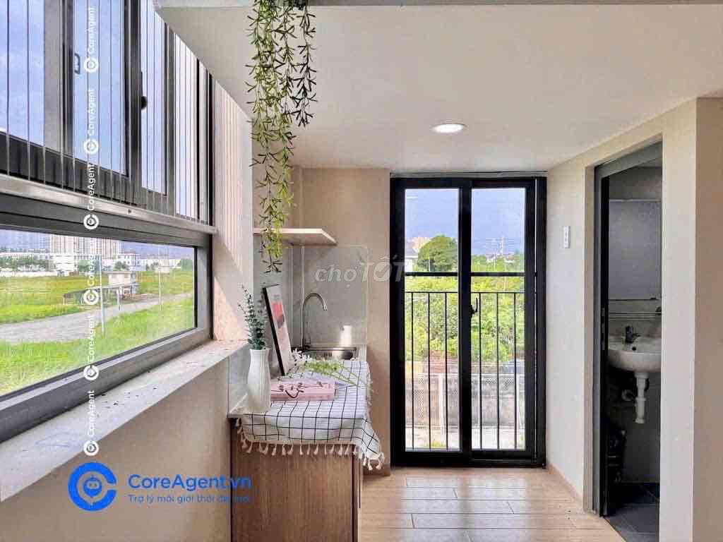 Rent a balcony, close to five dog cages.