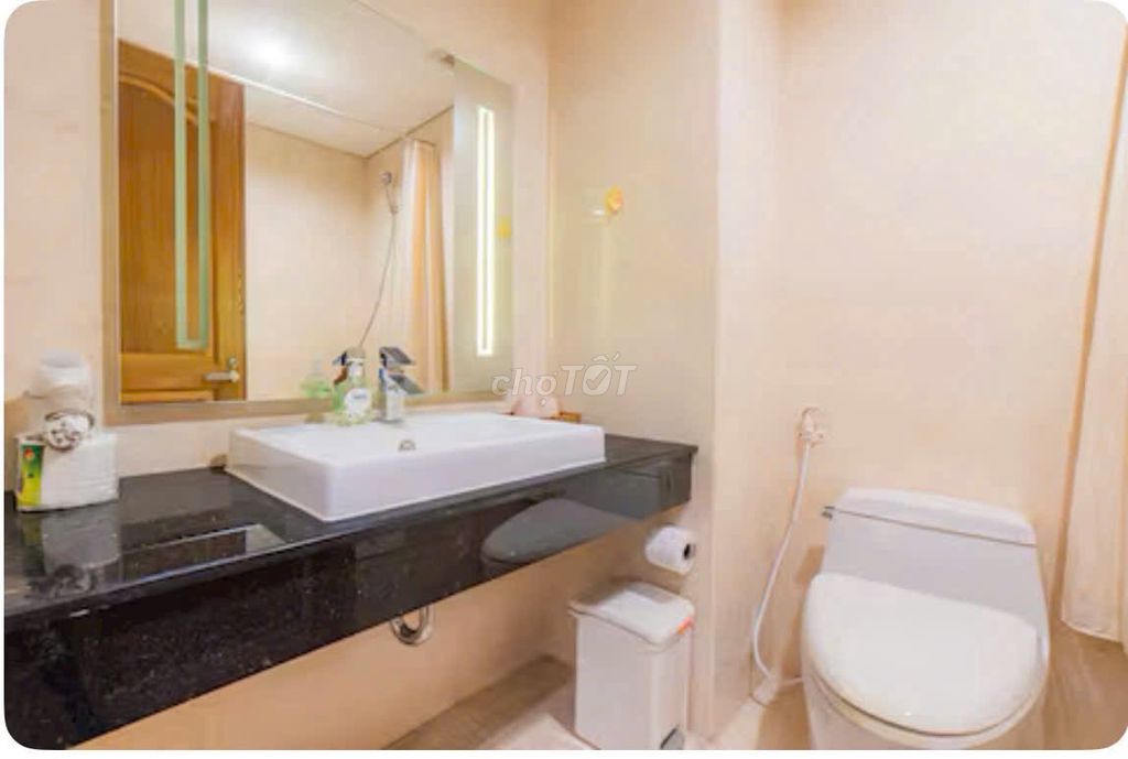 Rent in Shun Vietnam, 319 Li Lis, District 11, area 100 meters, two bedrooms.