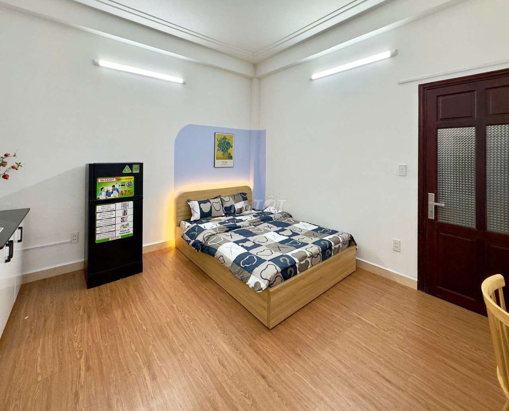 Studio Full Free Window Contents