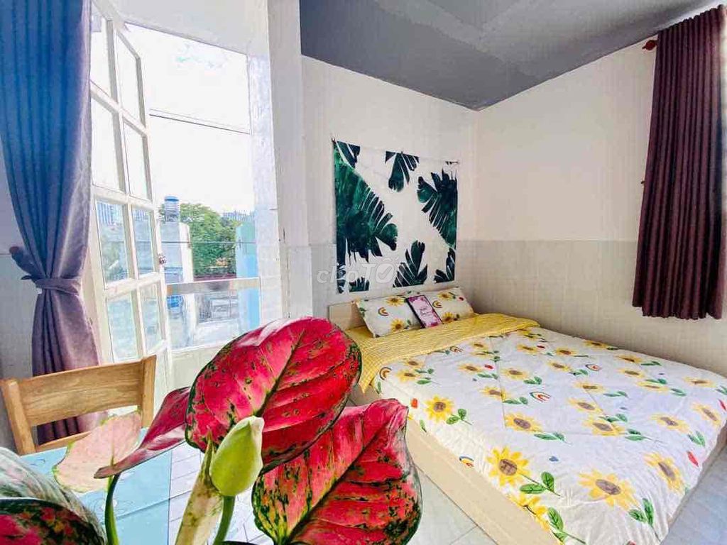 Studio 25 meters full of furniture, curves, windows. Near the Institute, The Lancaster