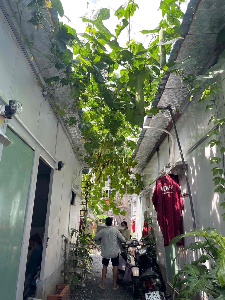 gardening room with an average of a million in turn