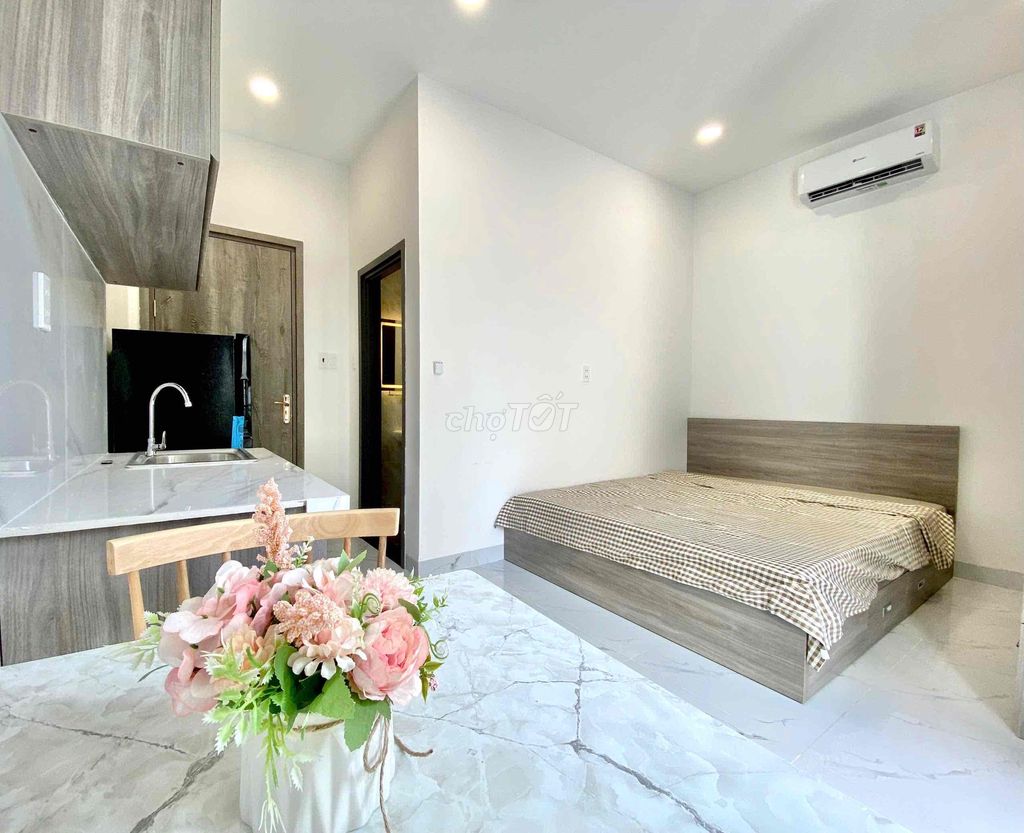 apartment bandol_Palmic light