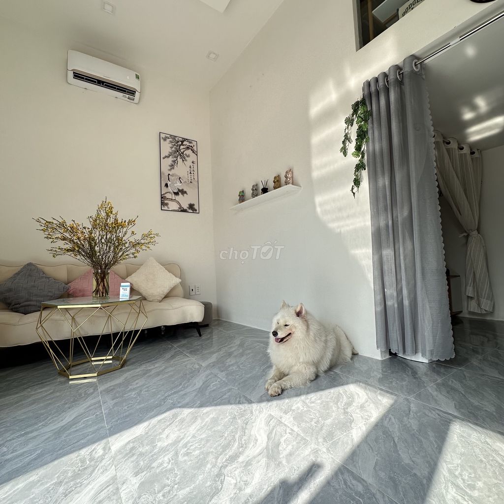 full interior studio