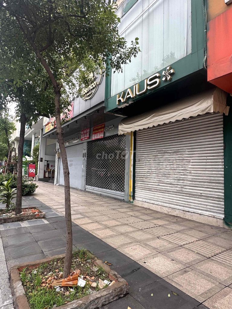 Nguyễn Văn Trỗi Phú Nhuận cash houses use 50 meters at 11 million months