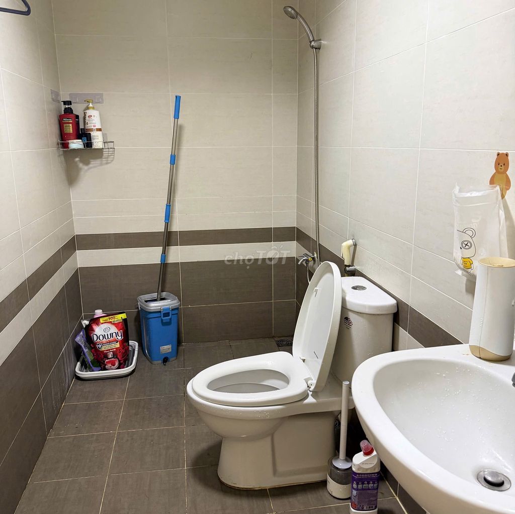 Rent a two-room apartment, a full-size toilet for only 10 million in the park.