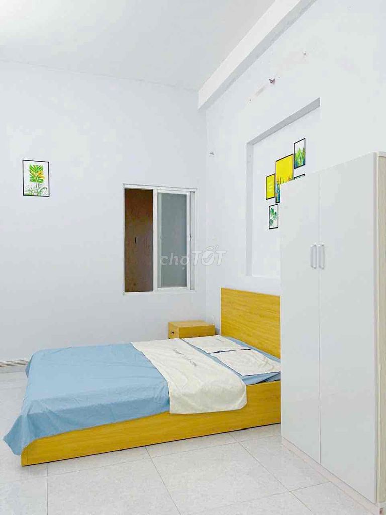 Rent the studio full interior elevator seven Tân Bình