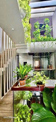 Rent the Tên Lửa Bình Tân High House