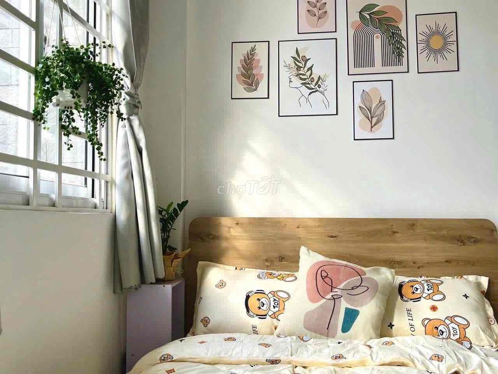 Nguyễn Thái Sơn interior studio