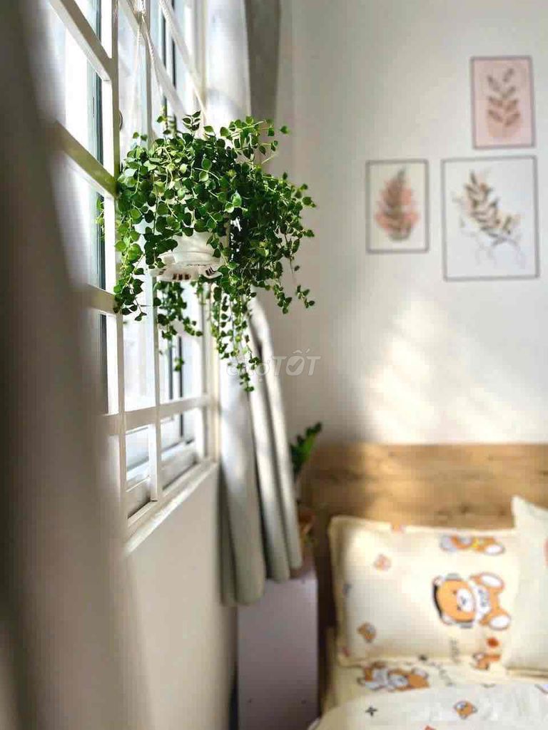Nguyễn Thái Sơn interior studio