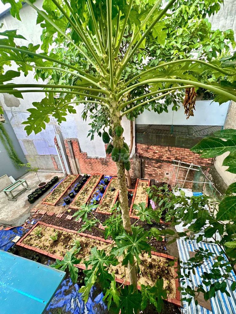 The owner of the rented house has a garden