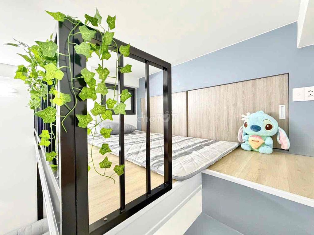 District 12 B.C., real room.