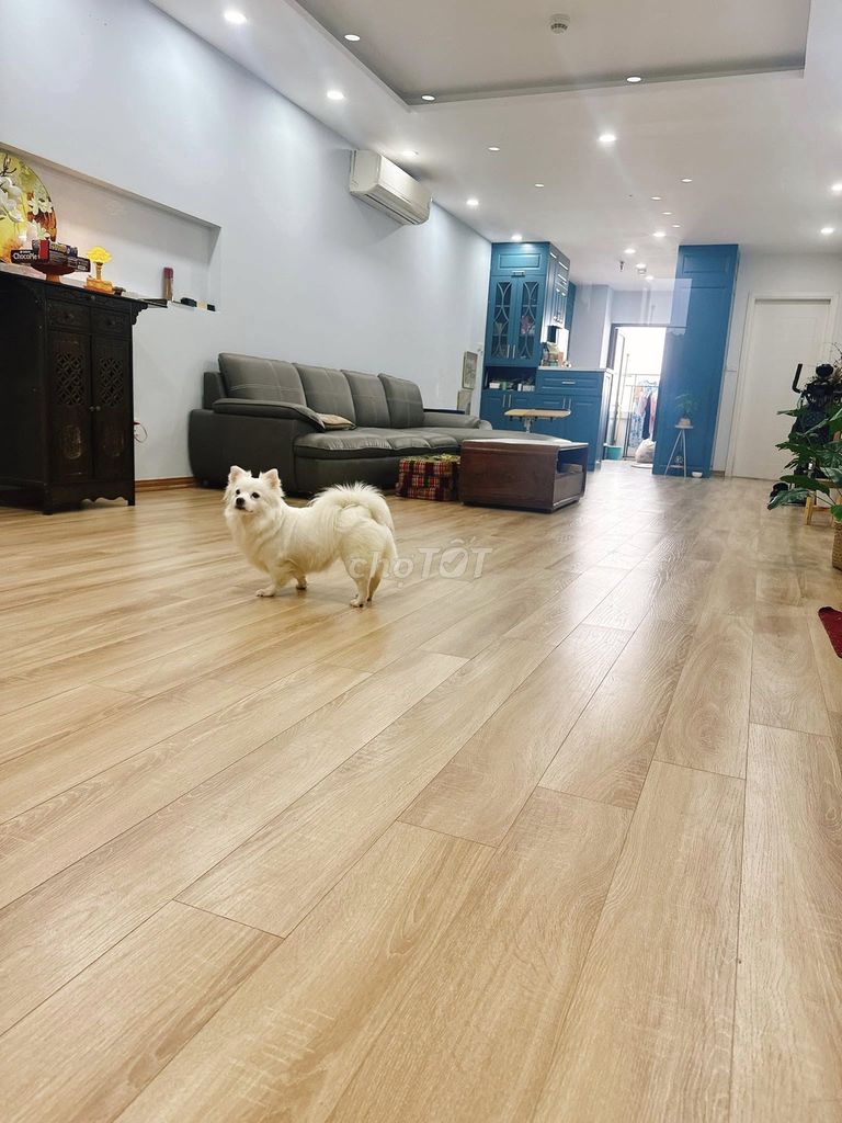 Rent C/c senior Park Legend, Hoàng Văn Thụ - 3 bedrooms rent 18 million a month