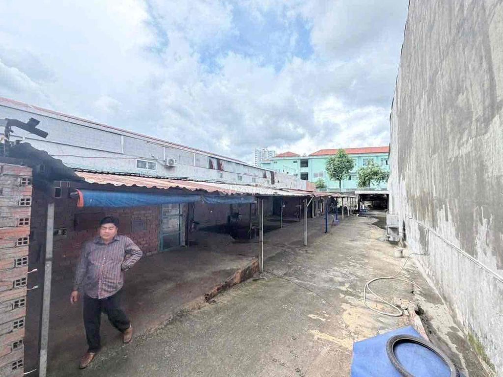 Rents an area of terror - the area of Bình Tân