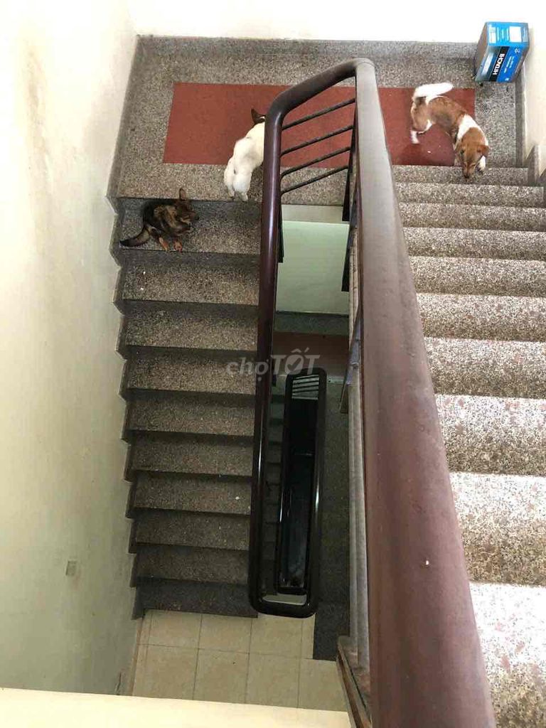 house 2 bedroom 4.2 x13 Đào Duy Từ