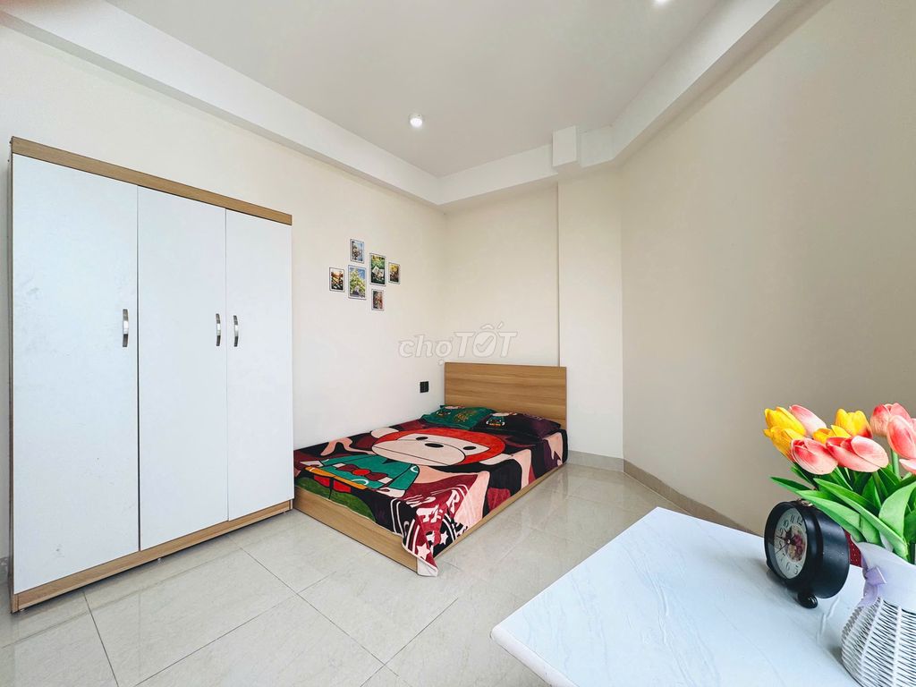 studio 25 M2 – 2 large sky windows