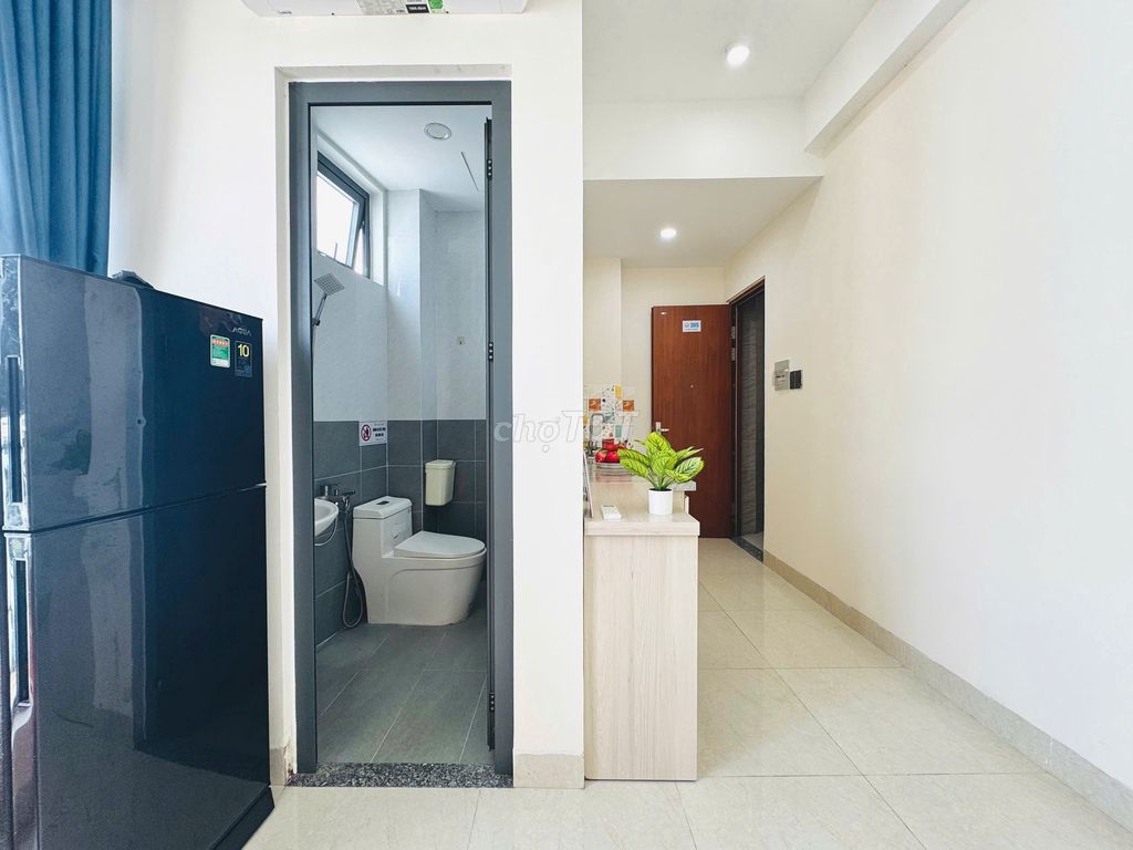 studio 25 M2 – 2 large sky windows