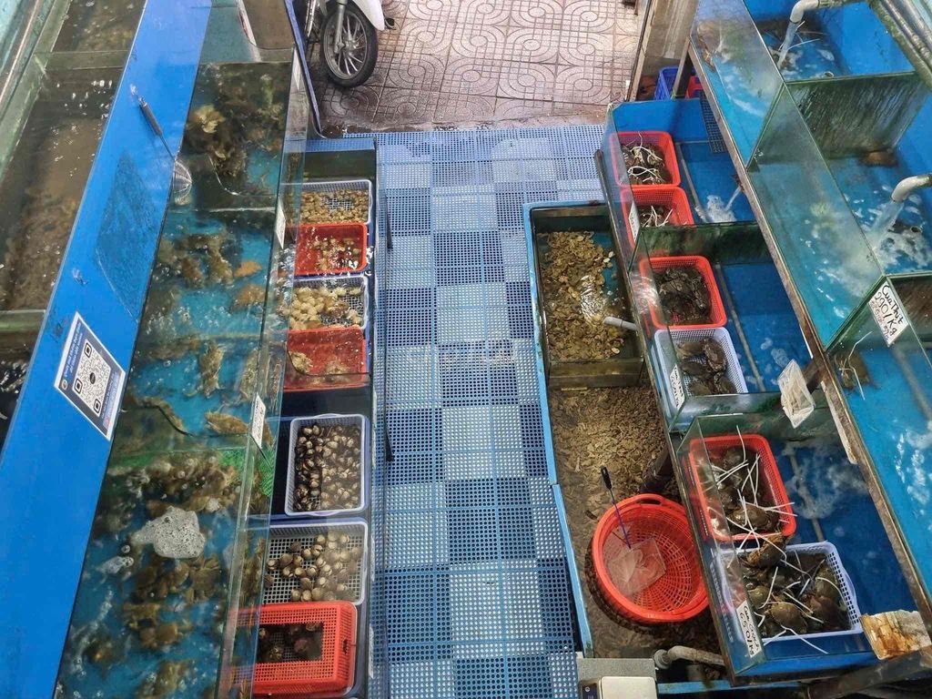 Rent cash houses Qq0202 Bình Thạnh districts
