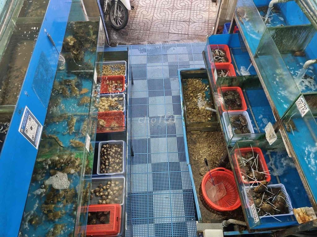 Rent cash houses Qq0202 Bình Thạnh districts