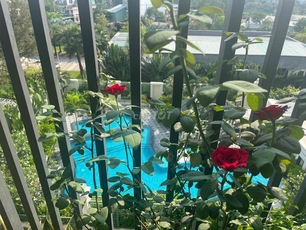 We'll have two bedrooms, one bathroom, 11 million view of the beautiful pool.